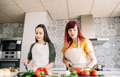 Homosexuelle Freundinnen schneiden Gurken bei der Zubereitung gesunder vegetarischer Gerichte am Tisch im Haus - ADSF25388