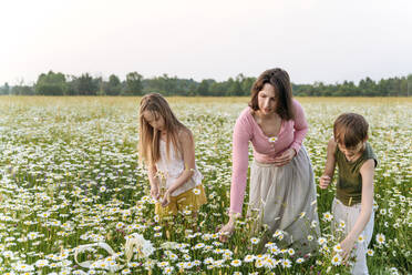 Woman and children picking flowers while standing in field - EYAF01682