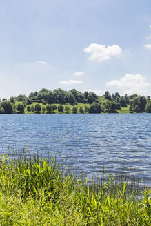 Ufer des Weinfelder Maars - GWF07080