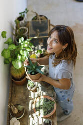 Lächelnde Frau mit Blick nach oben, die eine Sukkulentenpflanze im Studio hält - IFRF00967