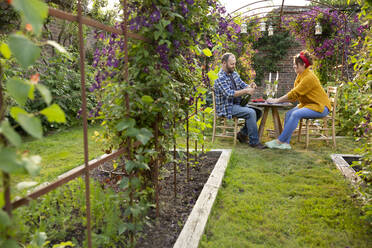 Ein Paar genießt Champagner und rote Johannisbeeren an einem Tisch im Sommergarten - CAIF30880