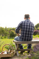 Mann macht eine Pause von der Gartenarbeit auf einer Bank im sonnigen Sommergarten - CAIF30887