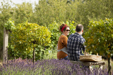 Ehepaar macht eine Pause von der Gartenarbeit im sonnigen Sommergarten - CAIF30898