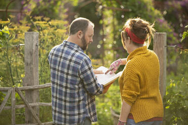 Paar mit Gartenbuch in sonnigem Hinterhof - CAIF30922