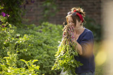Frau riecht an frisch geerntetem Gemüse im Sommergarten - CAIF30924