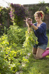 Glückliche Frau erntet frische Kartoffeln im sonnigen Sommergarten - CAIF30935
