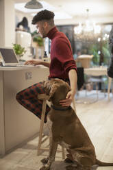 Junger Mann, der einen Hund streichelt, während er von zu Hause aus am Laptop in der Küche arbeitet - CAIF31086