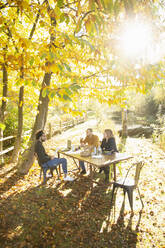 Business people having lunch meeting in sunny idyllic autumn park - CAIF31224
