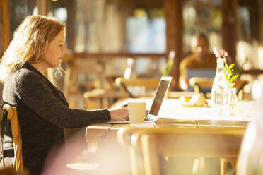 Businesswoman with coffee working at laptop in sunny cafe - CAIF31281