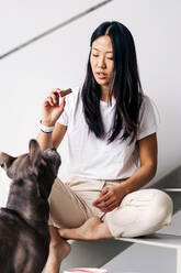 Ethnische Frau mit Leckerli, die einen American Staffordshire Terrier unterrichtet, während sie auf der Treppe sitzt und sich gegenseitig im Haus ansieht - ADSF25394