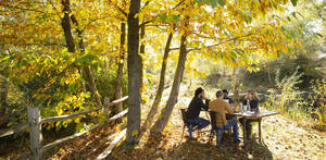 Geschäftsleute treffen sich an einem Tisch in einem sonnigen, idyllischen Herbstpark - CAIF31354