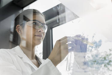 Germany, Bavaria, Munich, Female scientist working in laboratory - ISF24710