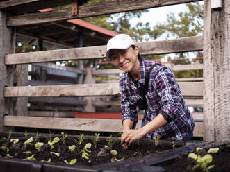 Australia, Melbourne, Smiling woman planting seedlings at community garden - ISF24825