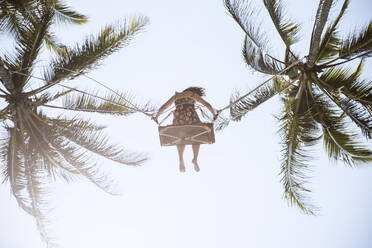 From below full length faceless barefoot female in sundress swaying on swings between verdant palms under blue sky in sunny tropical country - ADSF25677