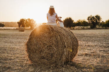 Woman wearing hat sitting with dog on straw bale during sunset - EBBF04207