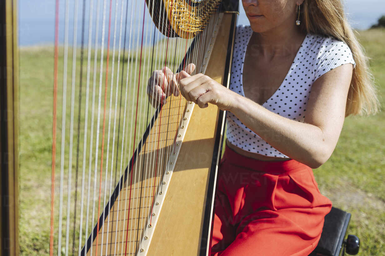 The female harp