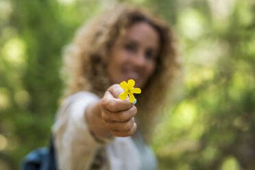 Frau hält gelbe Wildblume im Urlaub - SIPF02315