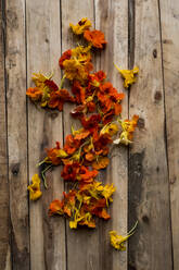 Nahaufnahme von essbaren orangefarbenen Calendula-Blüten aus hohem Winkel - MINF16242