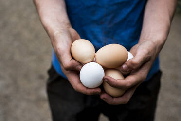 Close up of person holding brown and white eggs. - MINF16247
