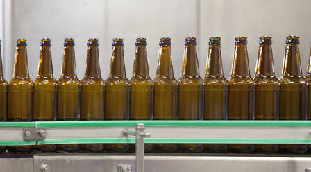 Beer bottling plant, rows of bottles, automated process - MINF16291