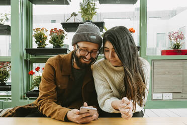 Zufriedenes Paar sitzt am Tisch und surft auf dem Handy, während es in einem Café mit verschiedenen Topfblumen entspannt - ADSF25750