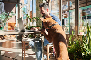 Seitenansicht eines zufriedenen ethnischen männlichen Unternehmers, der auf einem Netbook tippt, gegenüber einem Rassehund am Tisch im Sonnenlicht - ADSF25901