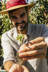 Smiling young man wearing straw hat holding tomato plant in garden - MGRF00312