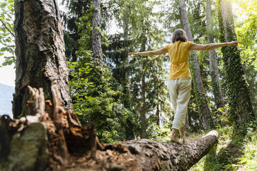 Frau mit ausgestreckten Armen auf umgestürztem Baum im Wald gehend - DIGF16066