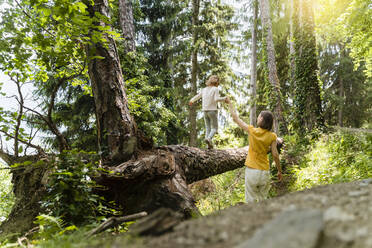 Mother holding hand of daughter walking on fallen tree in forest - DIGF16068