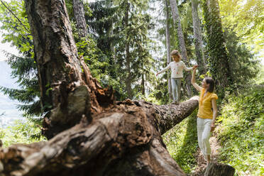 Mother holding hand of daughter balancing on fallen tree at forest - DIGF16072