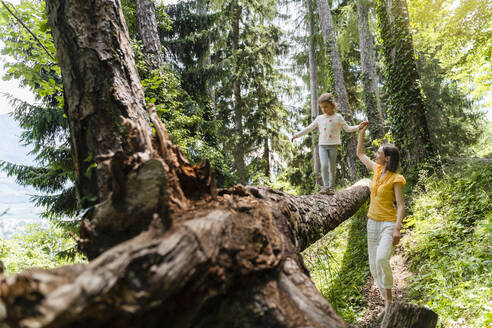 Mutter hält die Hand ihrer Tochter, die auf einem umgestürzten Baum im Wald balanciert - DIGF16072