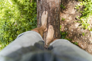 Mann geht auf umgestürztem Baum - DIGF16074