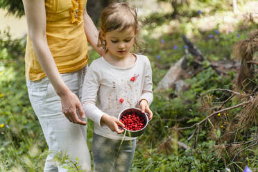 Girl holding wild strawberry bowl while standing by woman in forest - DIGF16081