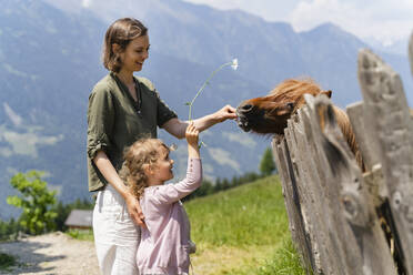 Mother and daughter feeding pony while standing by fence on sunny day - DIGF16096