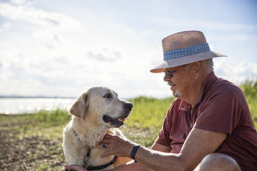 Älterer Mann mit Hut streichelt Golden Retriever an einem sonnigen Tag - MAMF01932