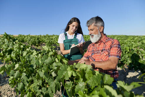 Männlicher Landwirt untersucht Weinpflanzen, während eine Frau an einem sonnigen Tag in ein Buch schreibt - KIJF04026