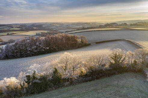 Hügellandschaft in der Morgendämmerung an einem frostigen Wintermorgen, Devon, England, Vereinigtes Königreich, Europa - RHPLF19957