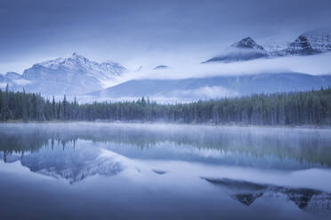 Moody misty morning at Herbert Lake in the Canadian Rockies, Banff National Park, UNESCO World Heritage Site, Alberta, Canada, North America - RHPLF19967