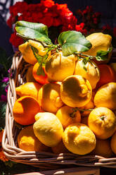 Fresh local basket of lemons in Manarola in Cinque Terre, province of La Spezia, in the Liguria region of Italy, Europe - RHPLF20048