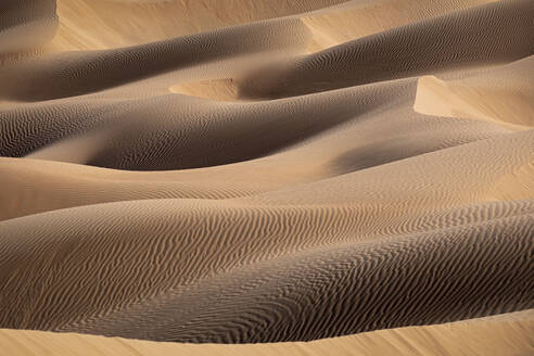 Sanddünen-Detail in der Wüste Rub al Khali, Oman, Naher Osten - RHPLF20062