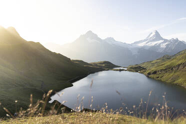 Grüne Wiesen rund um den Bachalpsee im Licht des Sonnenaufgangs, Grindelwald, Berner Oberland, Kanton Bern, Schweiz, Europa - RHPLF20106