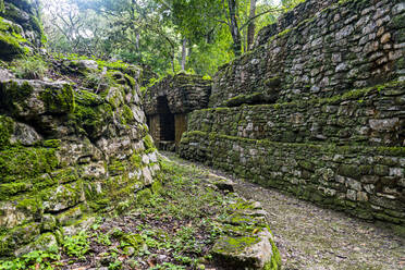 Archäologische Maya-Stätte von Yaxchilan im Dschungel von Chiapas, Mexiko, Nordamerika - RHPLF20162