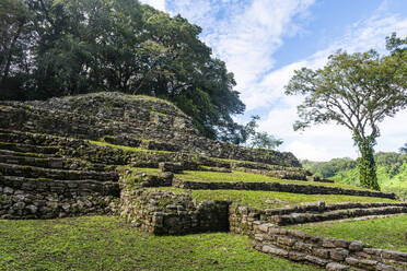 Archaeological Maya site of Yaxchilan in the jungle of Chiapas, Mexico, North America - RHPLF20166