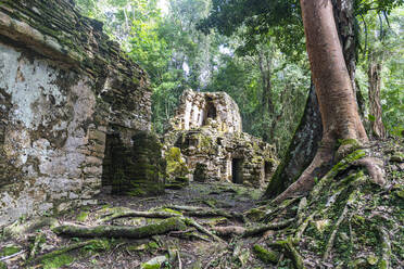 Archäologische Maya-Stätte von Yaxchilan im Dschungel von Chiapas, Mexiko, Nordamerika - RHPLF20167