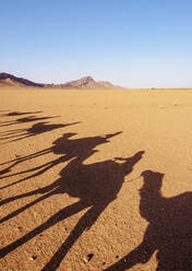 Schatten von Menschen auf Kamelen in einer Karawane in der Wüste Zagora, Region Draa-Tafilalet, Marokko, Nordafrika, Afrika - RHPLF20183