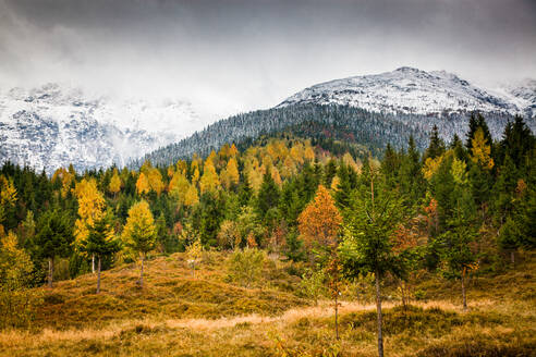 Rodnei-Gebirge im Frühwinter, Karpaten, Rumänien, Europa - RHPLF20227