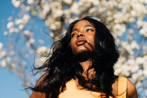 Low angle of beautiful African American female standing in blooming spring park and enjoying sunny weather looking away - ADSF26114