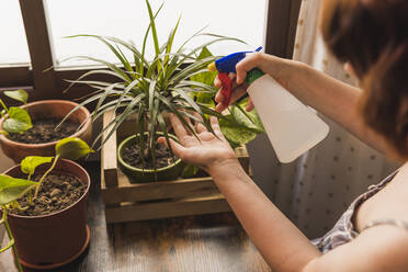 Woman spraying plants at home - MGRF00332