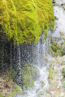 Dreimuhlen-Wasserfall, der einen moosbewachsenen Hang hinabstürzt - GWF07089