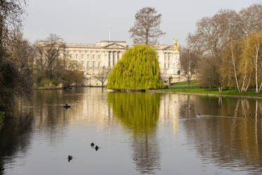 Buckingham Palace vom St. James's Park aus gesehen, London, England, Vereinigtes Königreich, Europa - RHPLF20263